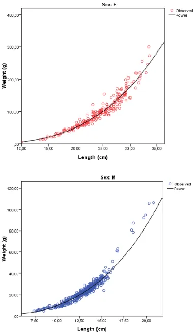 Fig.  3.10:  Saurida  undosquamis:  Regression  curves  for  length-weight  relationship  estimation:  W=0.0053TL 3.062 for females (above) and  W=0.0049TL 3.091  for  males (below) calculated by the IBM  SPSS 21 software.