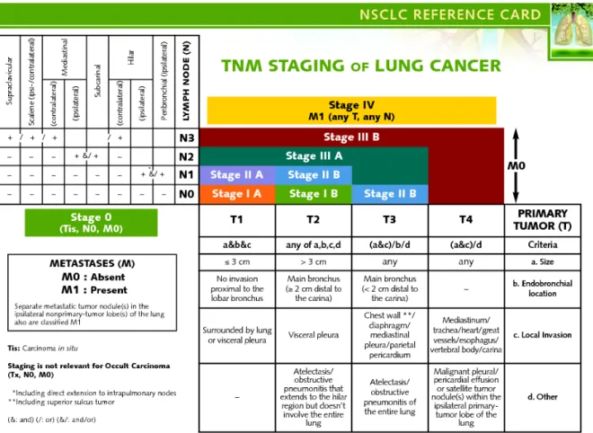 Figure 1.2: Detailed TNM staging of lung cancer (from [2])