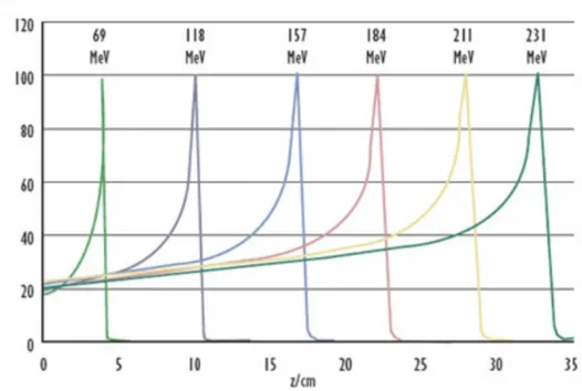 Figure 1.9: Percentage depth doses in water for proton beams at various energies