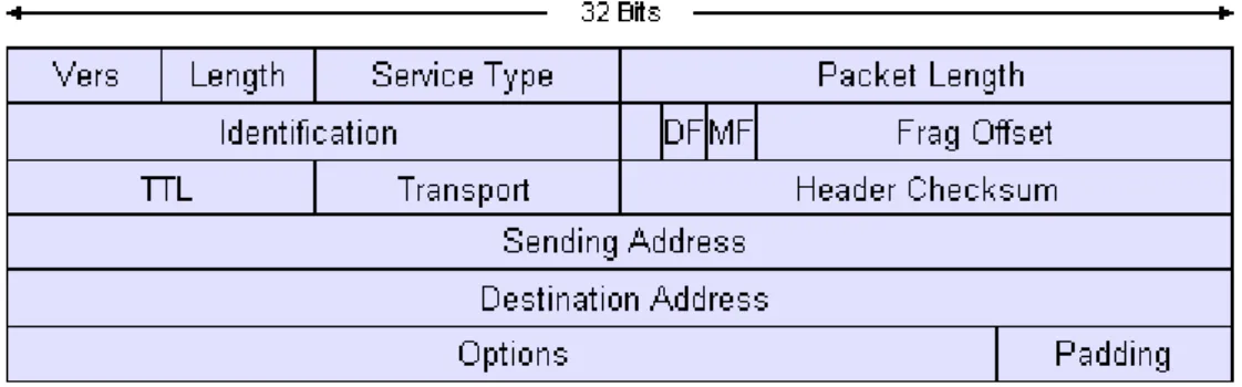 Figura 1.5: Formato dell’header IPv4