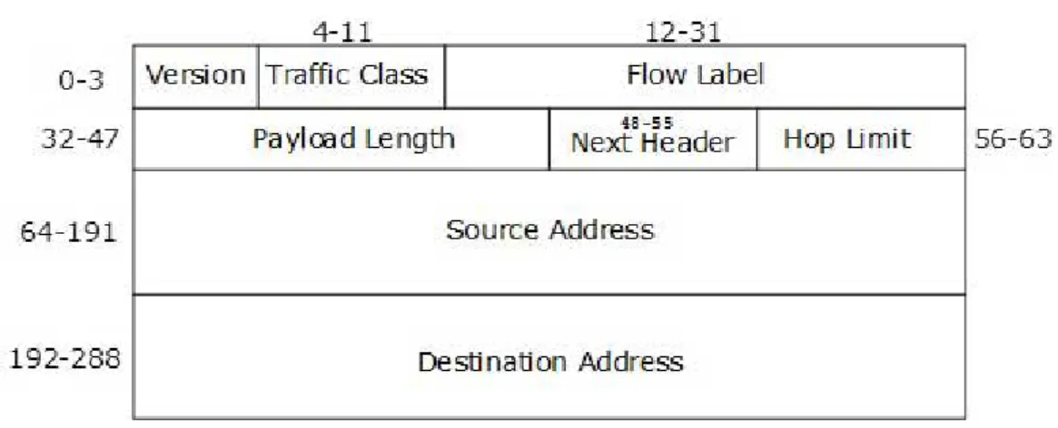 Figura 1.6: Header datagram IPv6