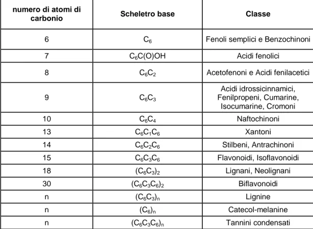 Tabella 1. Principali composti fenolici suddivisi per numero di atomi di carbonio 
