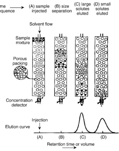 Figure 1.1.3: development and detection of size separation by GPC.  [7]