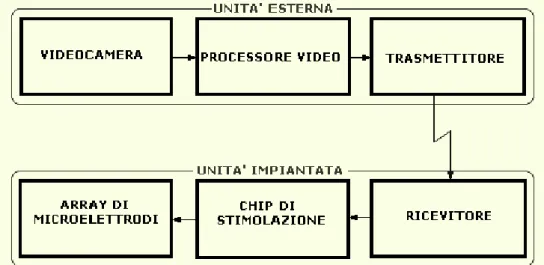 Figura 20 - Struttura tipica di una protesi visiva impiantabile. 