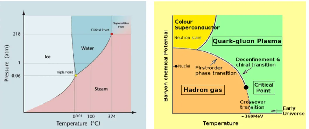 Figure 1.4: The well-known phase diagram of water (on the left) and (on the right) a QCD phase diagram.