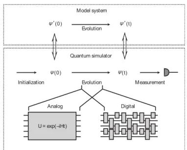 Figura 2.1: Rappresentazione grafica del funzionamento di un simulatore quantistico. Da: 6