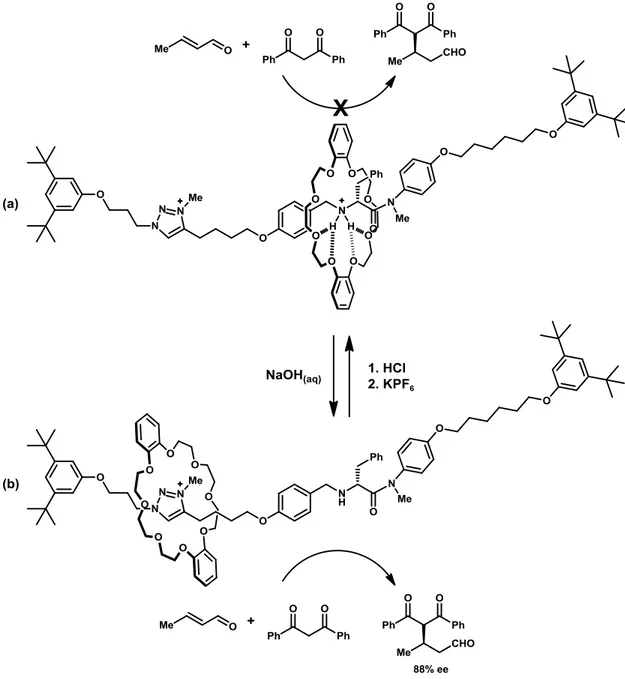 Figura 3: Rotaxano protonato (a), catalizzatore disattivo; rotaxano deprotonato (b), catalizzatore attivo