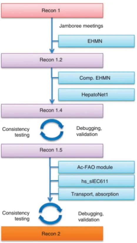 Figura 3.2: Le varie fasi dello sviluppo di Recon2: a partire da Recon1 ed in seguito agli incontri fra le comunit` a sono stati integrati nuovi database metabolici (in azzurro)