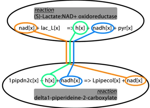 Figura 3.4: Criterio per la creazione dei link nella rete delle reazioni: in base ai metaboliti prodotti e reagenti la seconda reazione ` e legata alla prima con un link di valore 2, la prima ` e legata alla seconda con un link di valore 1.