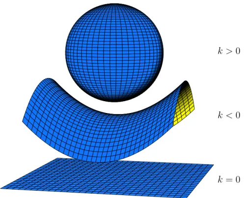 Figura 2.1: Un esempio di spazi curvi due dimensionali.