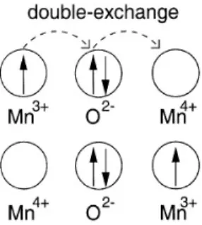 Figura 1.6: Rappresentazione del meccanismo di doppio-scambio [4].