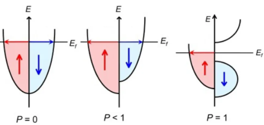Figura 1.7: Rappresentazione della densità di stati di spin per diversi valori di polarizzazione.