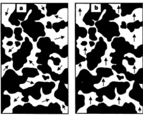 Figura 1.9: Illustrazione schematica della coesistenza di domini ferromagnetici con orientazione random (in bianco) e isolanti (in nero) attorno alla transizione di fase (a)