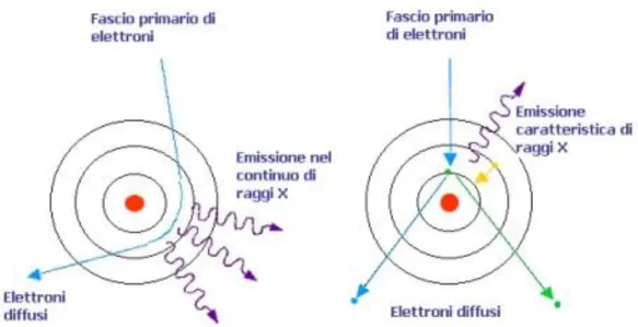 Figura 1.4: Rappresentazione schematica del processo di produzione dei raggi X 