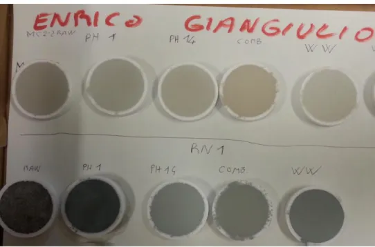 Tabella 3.2: Masse umide, masse secche e LOI dei campioni studiati. Figura 3.4: Pasticche di polvere pressata per l’analisi XRF.