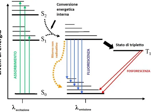 Figura 7 - Diagramma di Jablonski: rappresenta la transizione di  energia in un caso generico di fluorescenza 
