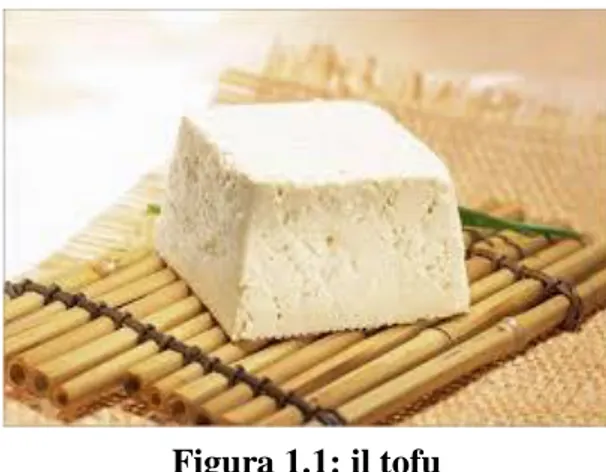 Figura 1.1: il tofu 