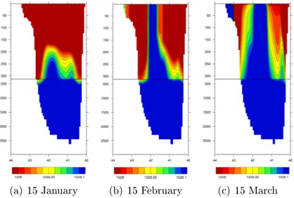 Figure 2.11: Latitudinal slice of in-situ density (kg/m 3 ) during the 2004/2005 WMF event, in the location shown in Figure 2.9.