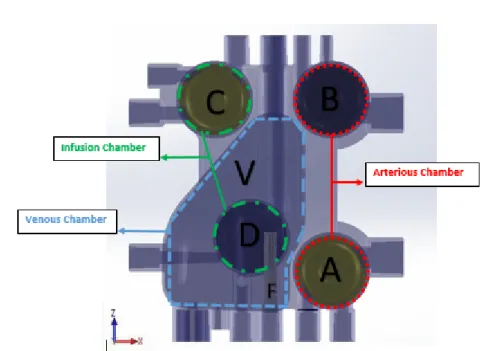 Figure 3.9: CAD model for the cassette; letters indicate the various cham- cham-bers