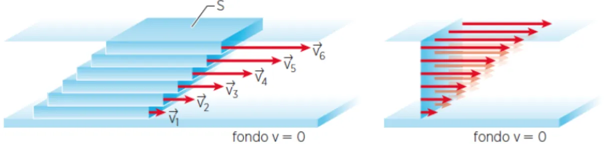 Figura 1.3 Rappresentazione schematica dei moduli v n  delle particelle di un fluido tra  due piani paralleli