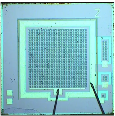 Figure	 1.5:	 picture	 of	 a	 SiPM	 made	 of	 24x24	 small	 APDs.	 The	 side	 of	 the	 square	 measures	1	mm	[15]