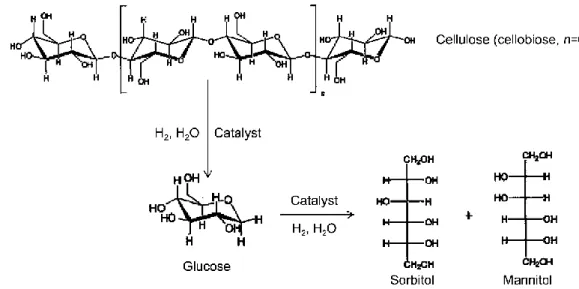 Figura 20 Rappresentazione della conversione catalitica di cellulosa e cellobiosio a sorbiotolo e  mannitolo