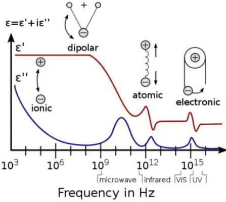 Figura 20: Spettroscopia dielettrica 