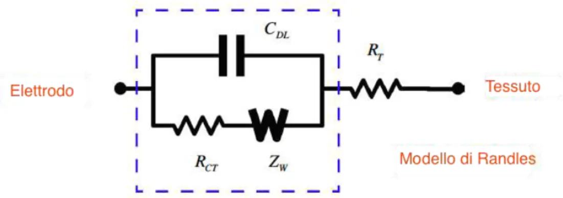 Figura 21: Modello circuitale all'interfaccia elettrodo-tessuto, detto modello di  Randles 