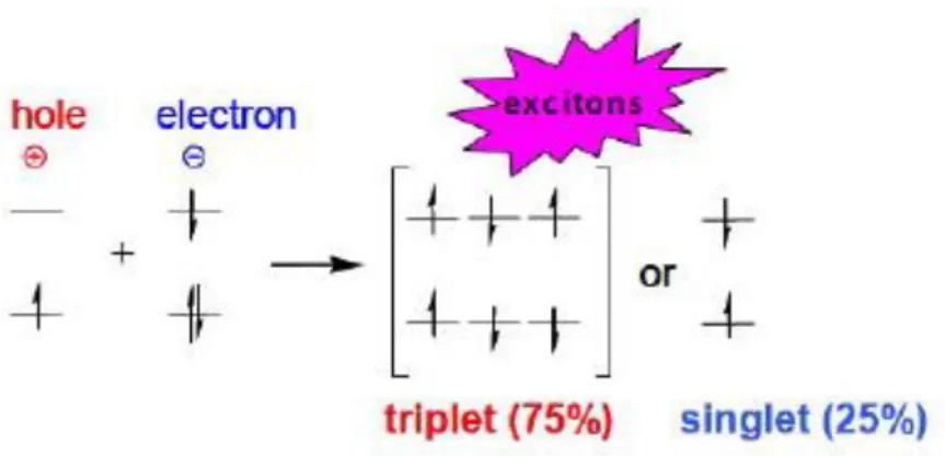 Figure 6 – Triplet and singlet excitons state 