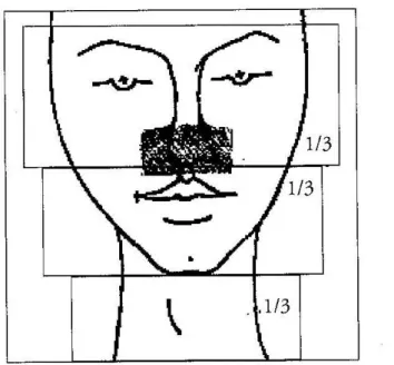 Figura 8 Suddivisione della zona della maschera. In Veneziano, C.   Manuale di dizione, voce e respirazione, Modugno, Besa Editore, 2012, p