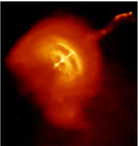 Figura 2.3: Immagine a raggi X della pulsar delle Vele