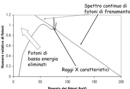 Figura 4 Spettro dei Raggi X