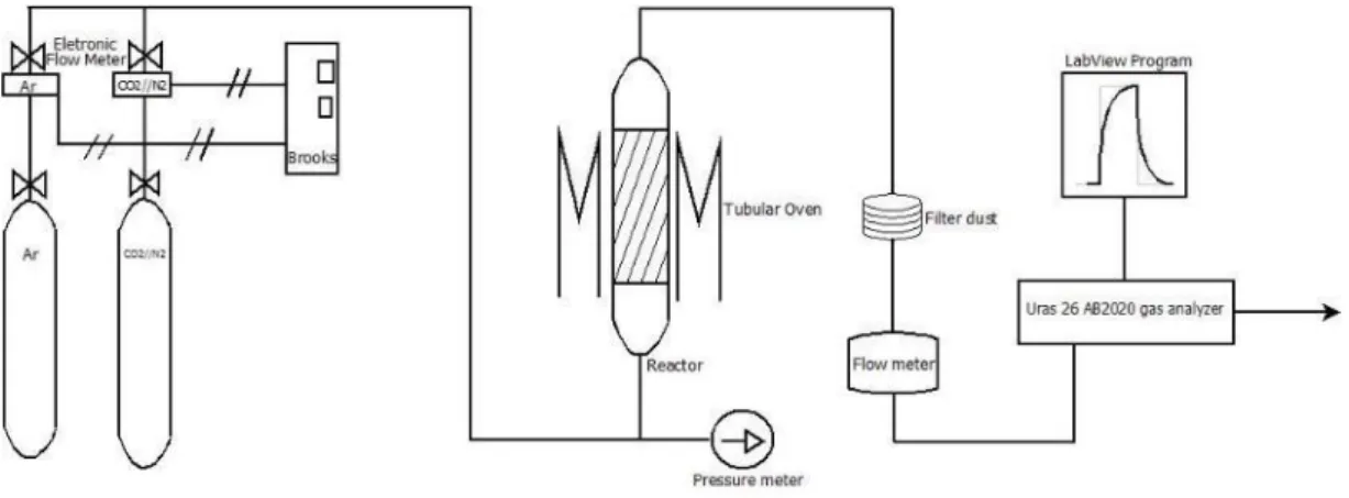 Figura 2-9 - Schema di impianto a flussi alternati CO 2 //N 2  e Ar. 