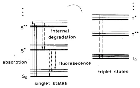 Figura 1.2: Struttura dei livelli energetici in molecole di materiale scintillante.