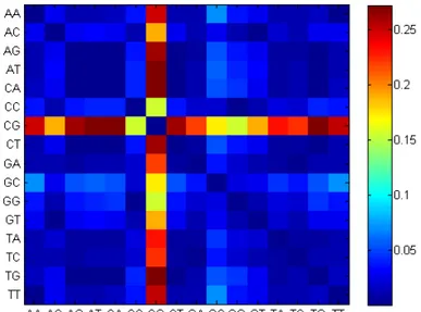 Figura 3.6: Heatmap delle distribuzioni di distanza dei dinucleotidi dell’uomo