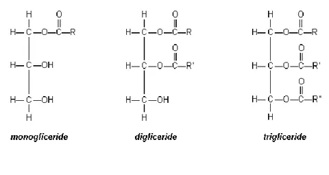 Figura 3 monogliceride, digliceride e trigliceride