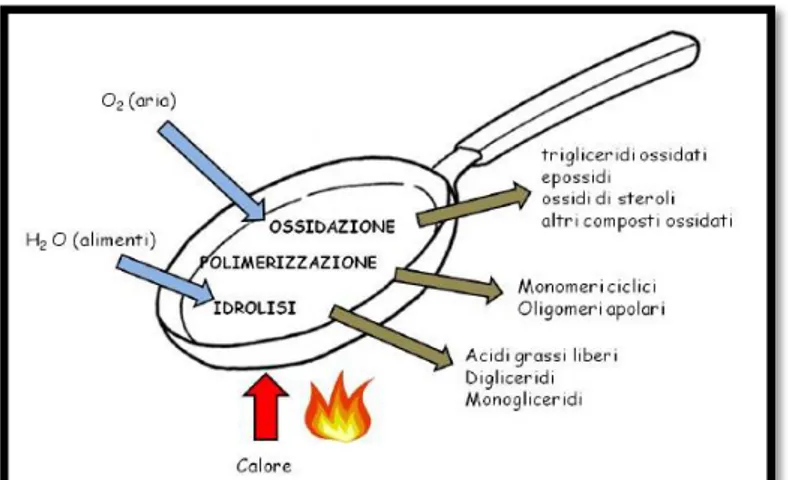 Figura 4 Schema dei principali processi di degradazione coinvolti  nella frittura dell’olio