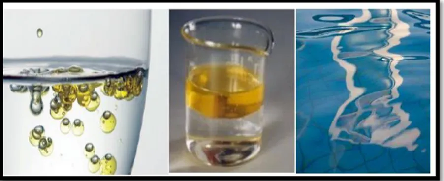 Figura 6 Esempio di distribuzione dell’olio in acqua. Le molecole di olio tendono a   raggrupparsi tra loro a causa della loro natura idrofoba e data la minore densità rispetto  all’acqua formano  uno strato in prossimità della superficie causando danni im