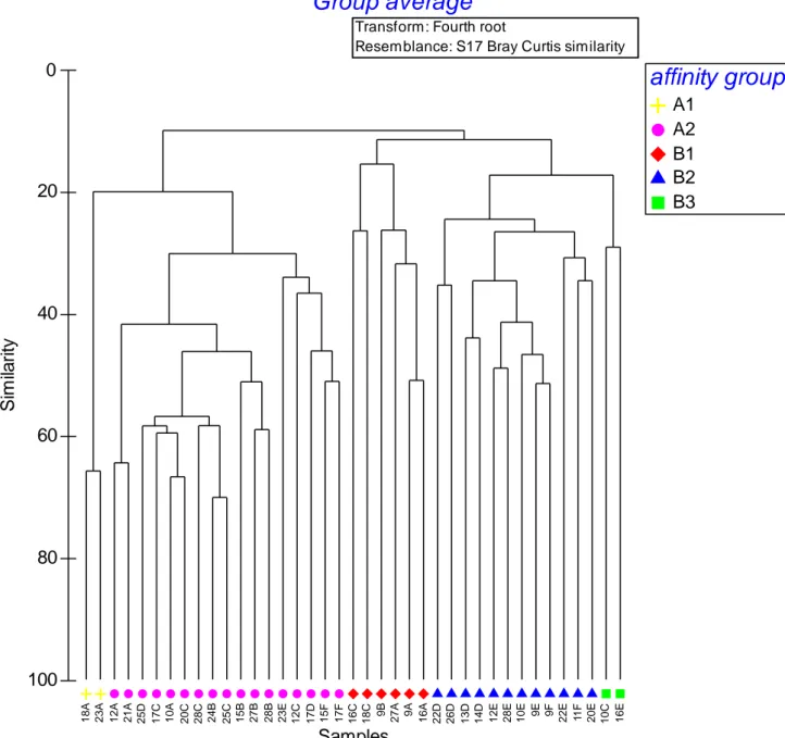 Figure 3.1b Cluster analysis based on the abundance of polychaetes. Subdivision in biological affinity groups  based on different resemblance levels