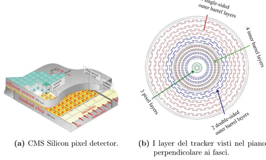 Figura 1.3: Il Tracker Detector.