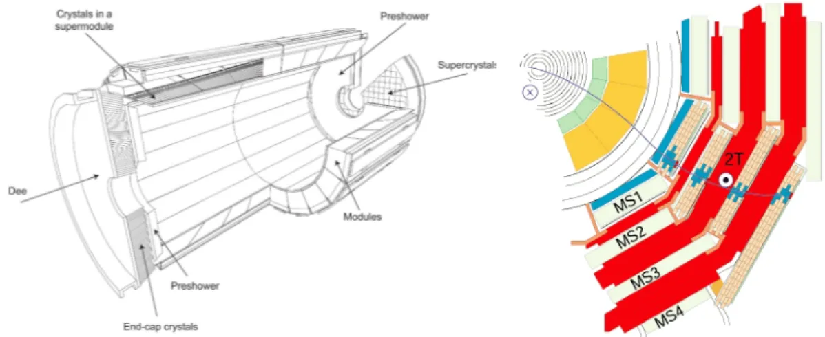 Figura 1.4: L’Electromagnetic CALorimeter e il muon detectors.