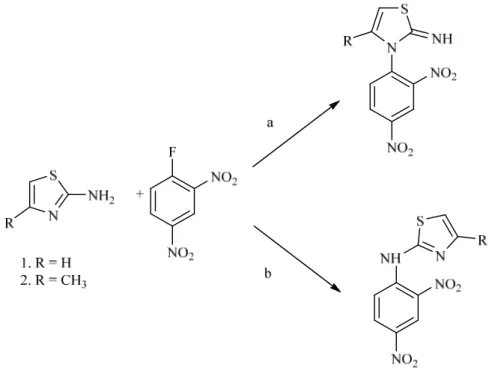 Fig. 2.7: Reazione tra 7-cloro-4,6-dinitrobenzofurossano e 2-amminobenzotiazoli 