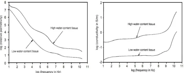 Figura  2.11:  confronto  della  a)  permittività  e  b)  conduttività  tra  tessuti  ad  alto  contenuto  di  acqua  come  il  muscolo  e  tessuti  a  basso  contenuto  di  acqua  come  il  grasso  in  funzione  della  frequenza