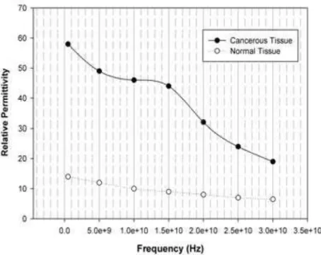 Figura 2.12: variazione della permittività relativa di tessuto normale (linea bianca) e tumorale (linea  nera) della mammella in un range di frequenze tra 0,5 GHz e 30 GHz secondo i risultati di  Choi