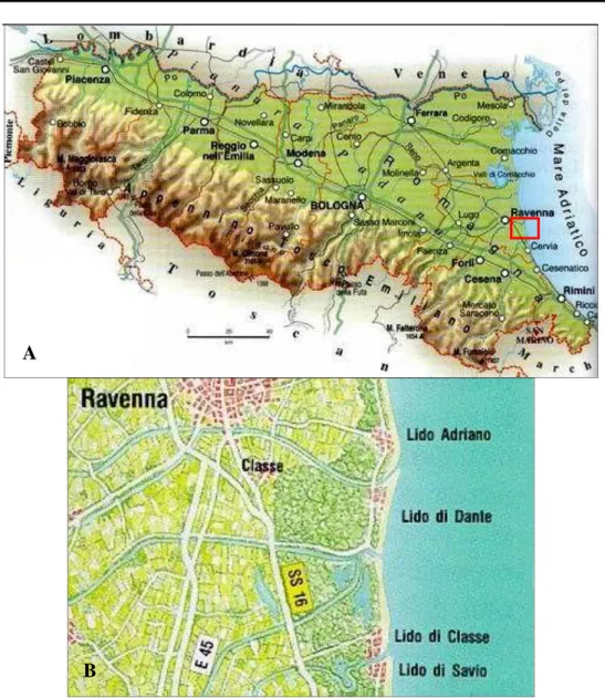 Fig. 2.1 - A) Carta geografica dell’Emilia Romagna: nel riquadro l’area di indagine;  B) carta della costa romagnola dell’area studio