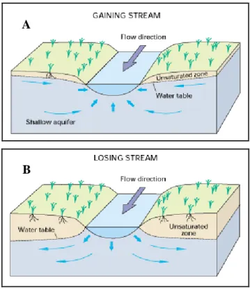 Fig. 1.1 - A) Fiume che riceve acqua dall’acquifero; B) fiume che cede acqua  all’acquifero