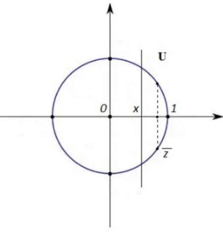 Figura 1.2: Rappresentazione dell’insieme {z ∈ U | Re(z) &gt; x}