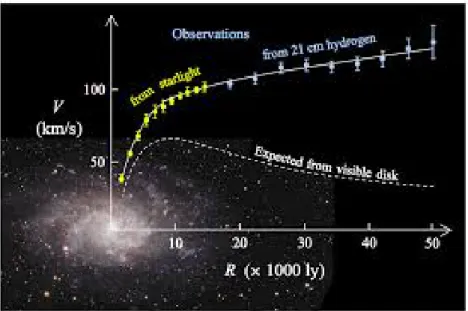 Figura 1.5: curva di rotazione teorica e sperimentale