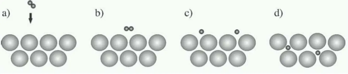Figura 1.1: Meccanismo di dissoluzione dell’idrogeno nel reticolo del metallo e forma- forma-zione di idruro: a) avvicinamento delle molecole di idrogeno alla superficie metallica, b) interazione tramite forze elettrostatiche deboli di Van der Waals (fisis