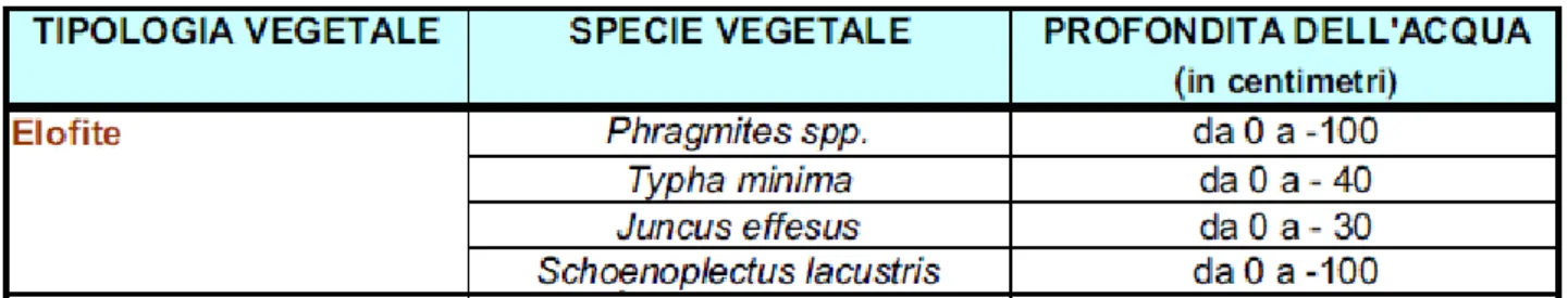 Tab. 5 - Profondità dell’acqua ottimale di alcune piante acquatiche [APAT, 2005]. 